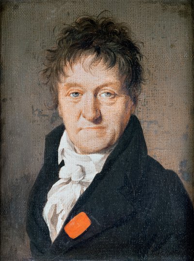 Portrait de Lazare Nicolas Marguerite Carnot (1753-1823) 1813 - Louis Leopold Boilly